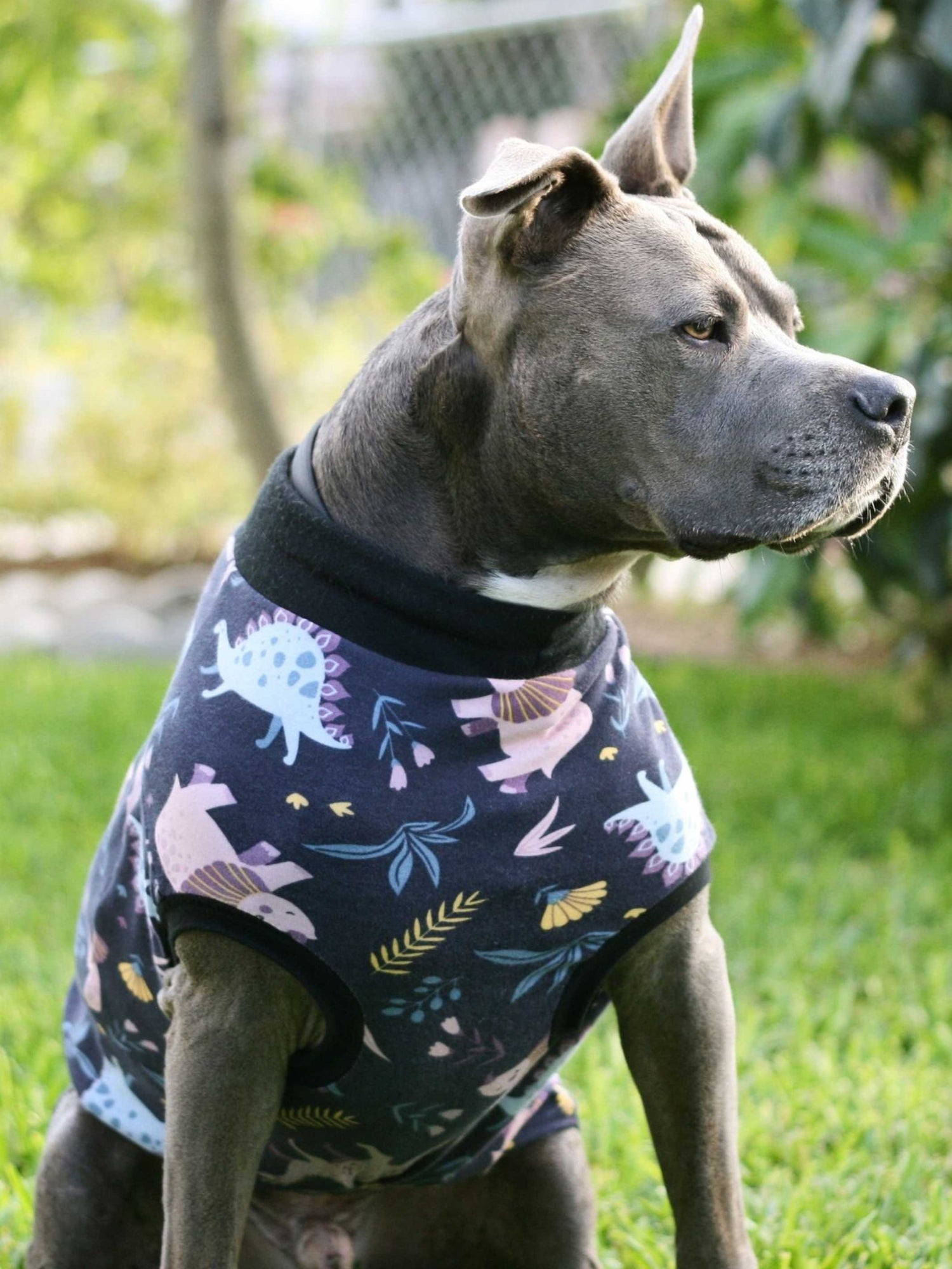 Dog wearing classic tee style shirt -- Jax & Molly's