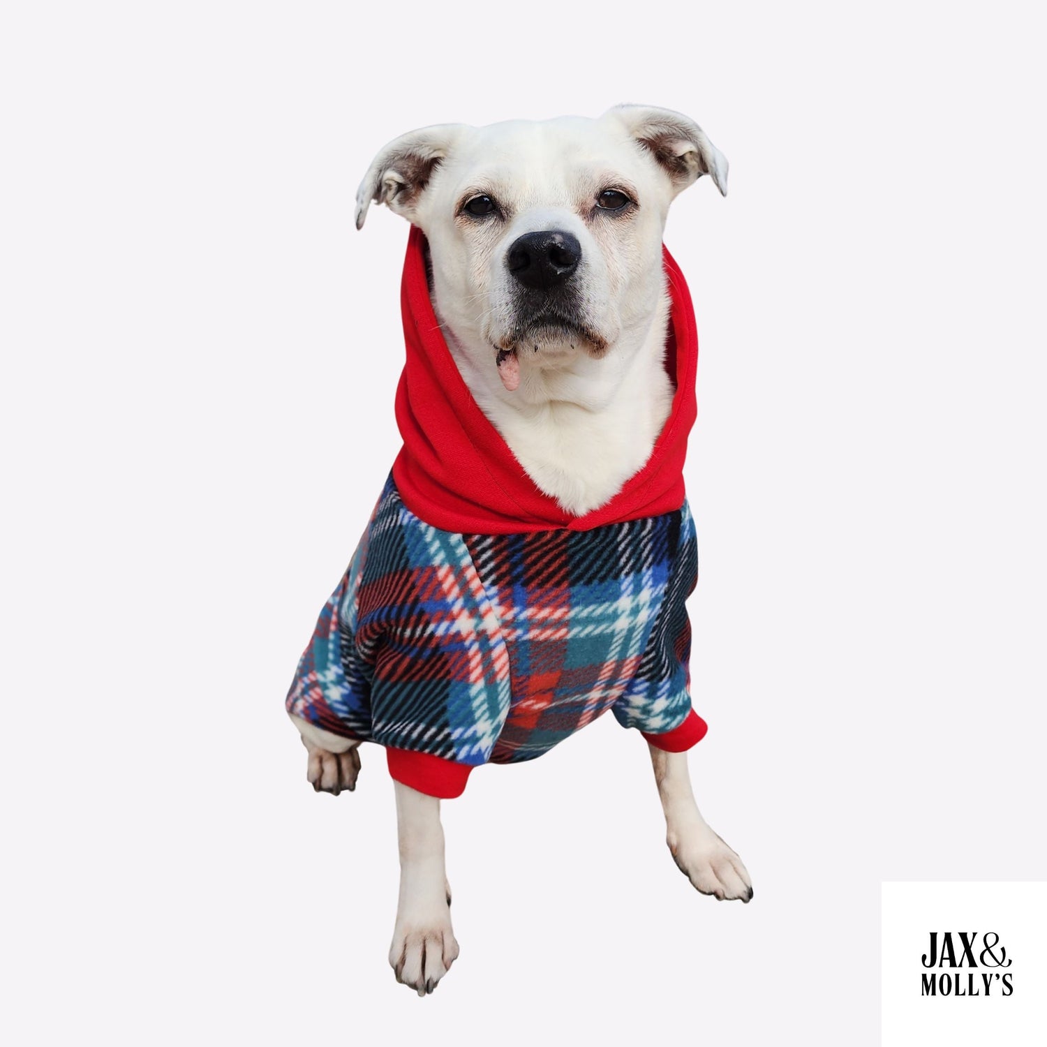 Dog modeling Jax & Molly's Midnight Tartan Fleece Dog Hoodie, pullover style, with a gorgeous hues of blue, red and green plaid fleece, and striking double-layered red hood.