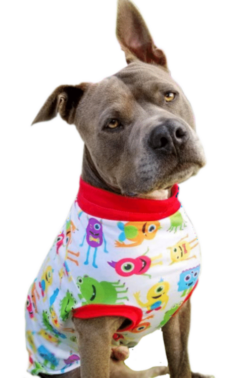 Dog modeling white pajamas with colorful monsters