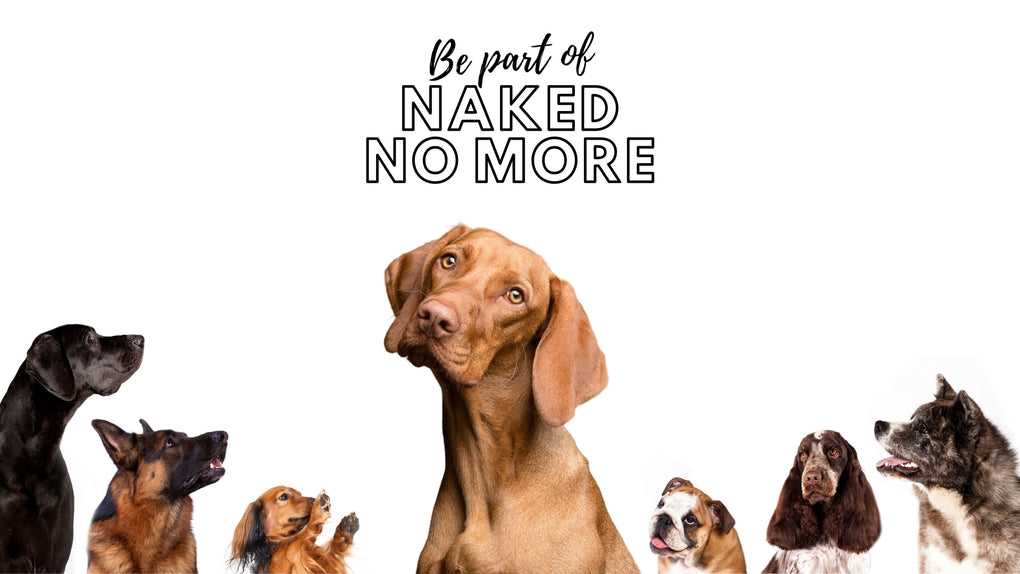 Jax & Molly's Naked No More Banner