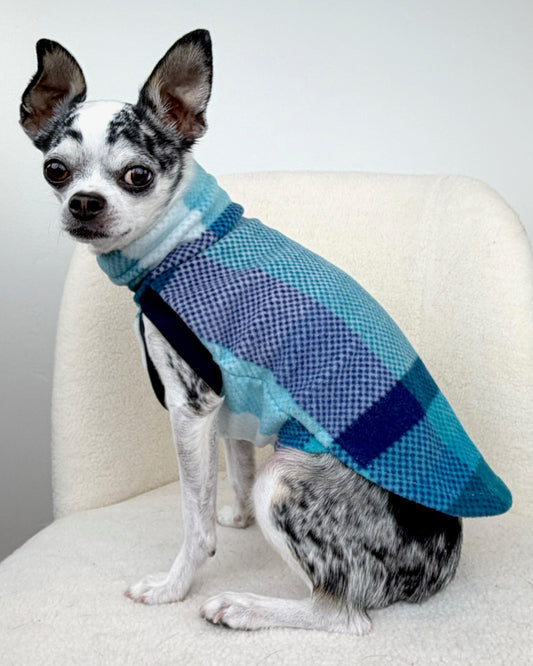 Small dog wearing a baby blue plaid fleece pullover, pictured from the side profile