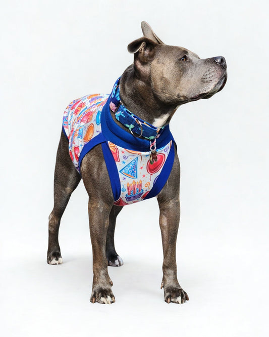 Dog wearing Birthday Celebration dog pajamas with festive party print and stretchy comfortable fit