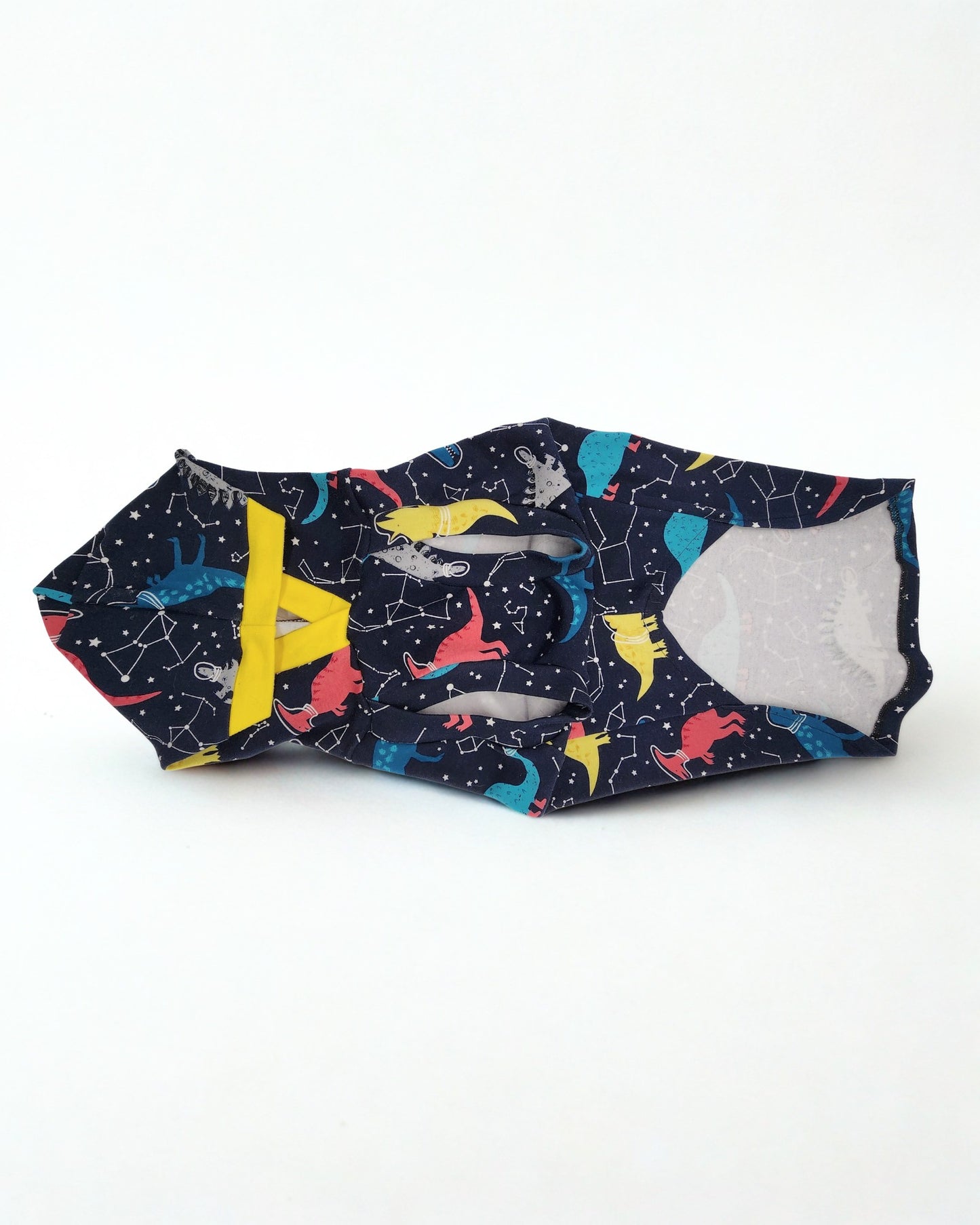 Navy Dog Hoodie with Yellow Trim and Dino Constellation Print – Jax & Molly’s