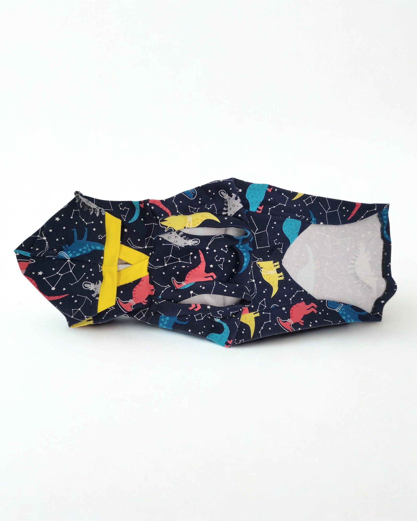 Navy Dog Hoodie with Yellow Trim and Dino Constellation Print – Jax & Molly’s
