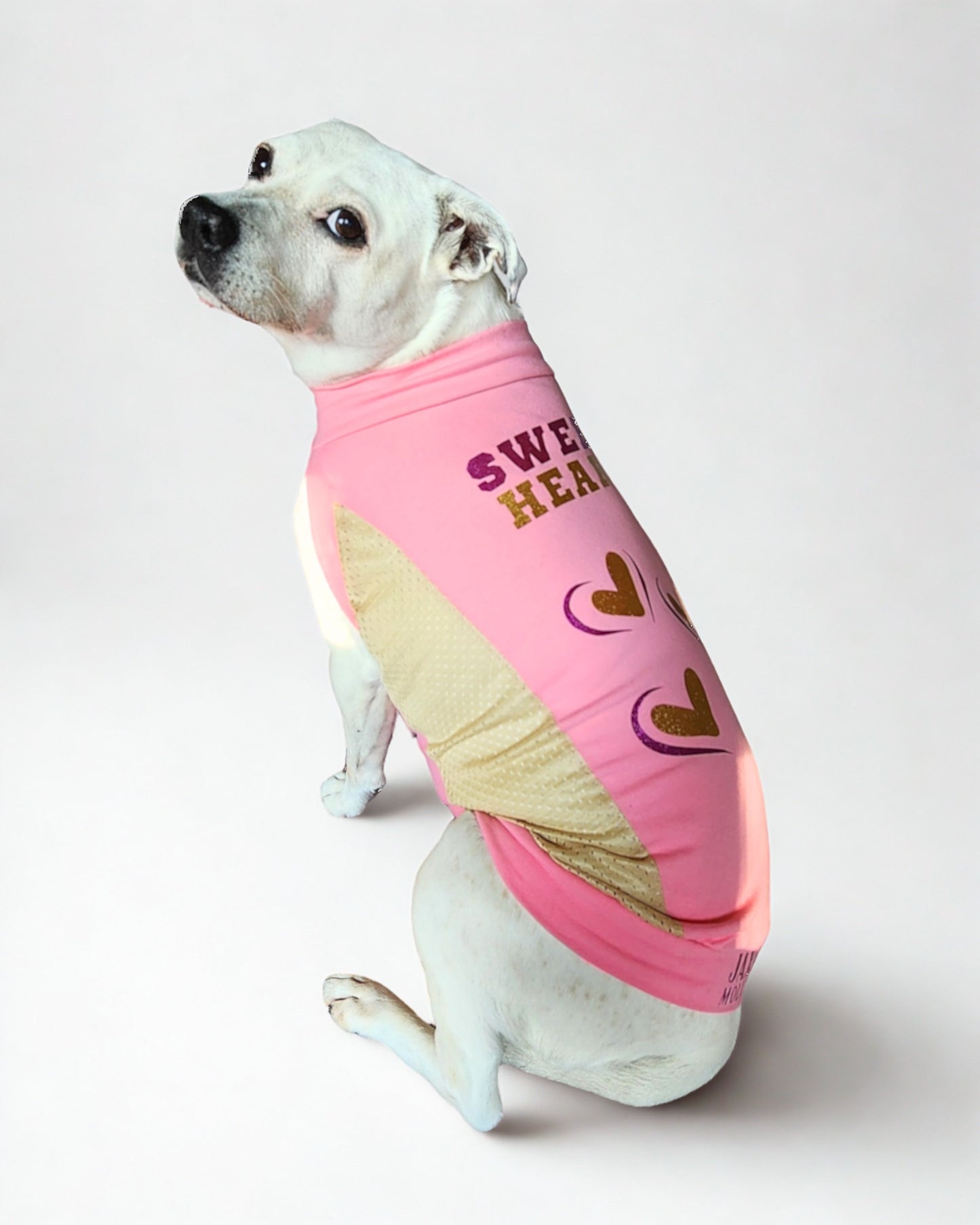 A dog wearing a pink sports jersey with 'SWEETHEART' printed in the center alongside heart shapes. The jersey has a tank design.