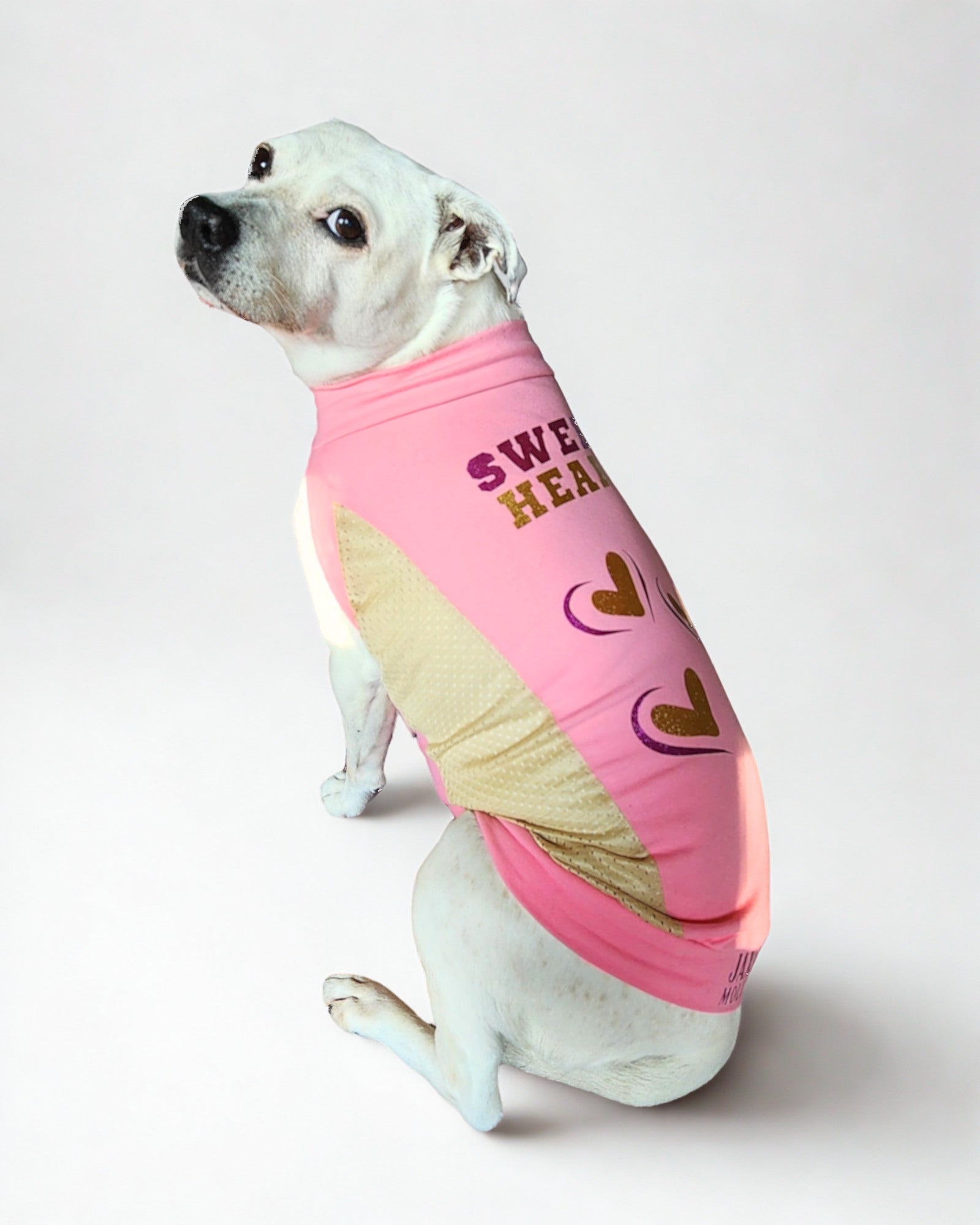 A dog wearing a pink sports jersey with 'SWEETHEART' printed in the center alongside heart shapes. The jersey has a tank design.