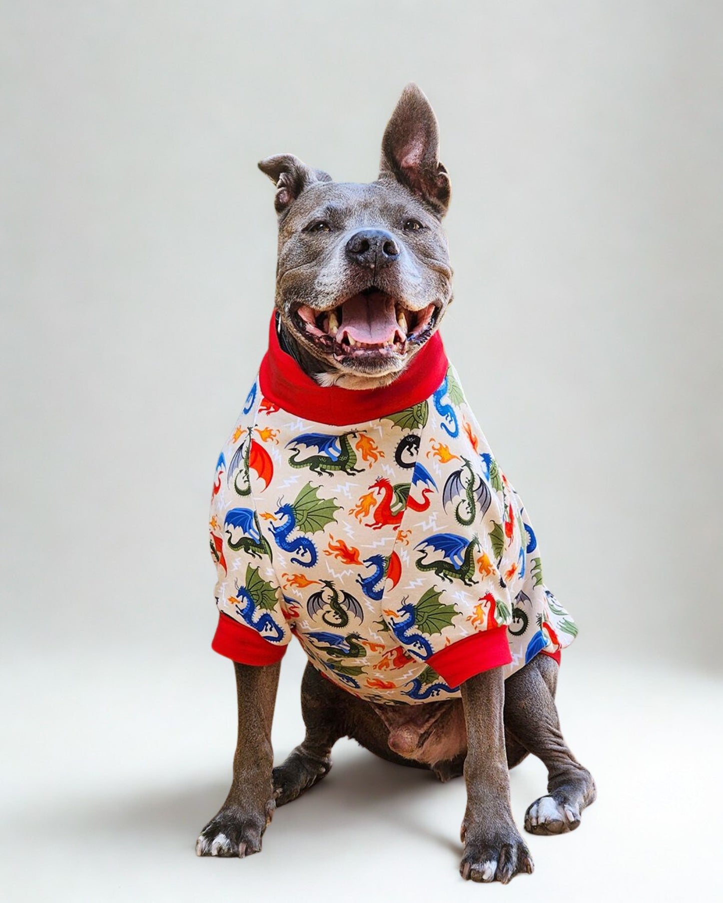 Gray pitbull modeling Jax & Molly's dog pajamas featuring a fire-breathing dragons  print against a tan backdrop.