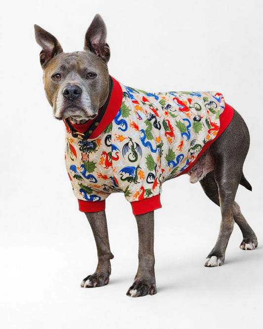 Gray pitbull modeling Jax & Molly's dog pajamas featuring a fire-breathing dragons  print against a tan backdrop.