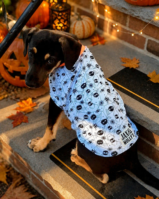 Dog wearing Halloween dog pajamas with glow in the dark spider print by Jax & Molly's