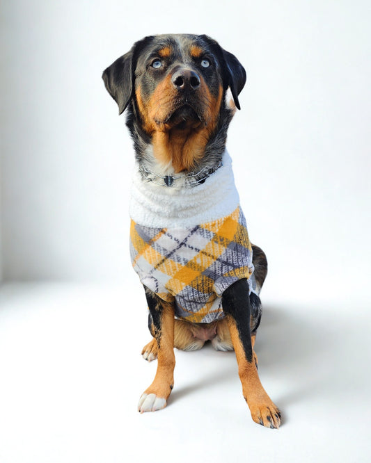 Dog wearing a plaid dog sweater in shades of gray, yellow, and white, featuring a faux sherpa turtleneck.