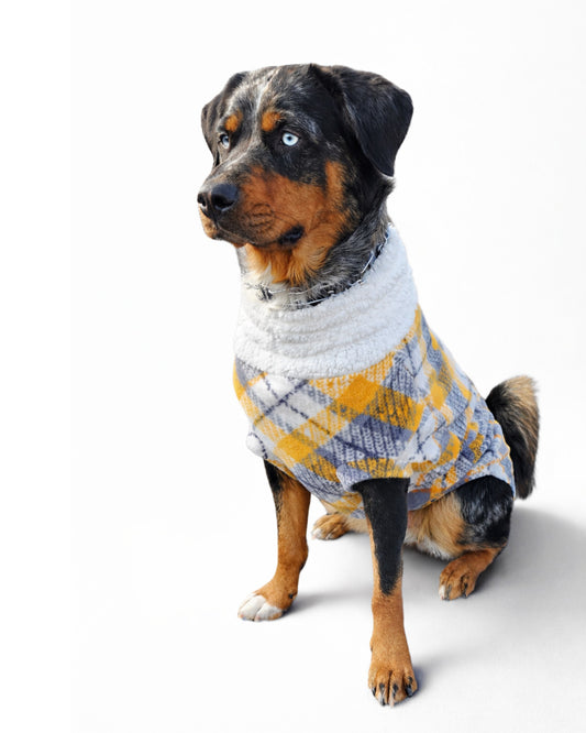 Dog wearing a plaid dog sweater in shades of gray, yellow, and white, featuring a faux sherpa turtleneck.