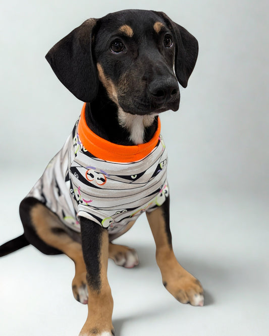 Dog wearing Glow-in-the-dark Halloween  mummy wrap pajamas with orange neck trim.