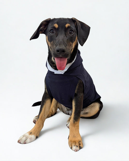 Lightweight Dog Hoodie – Cotton Spandex Activewear for Every Adventure