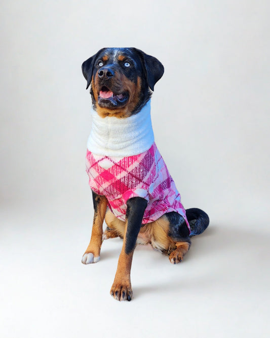 Large dog wearing pink plaid dog sweater with sherpa turtleneck, front view