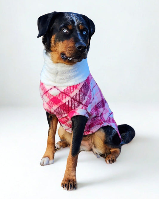 Dog modeling pink plaid fleece sweater with white sherpa neck, side profile view