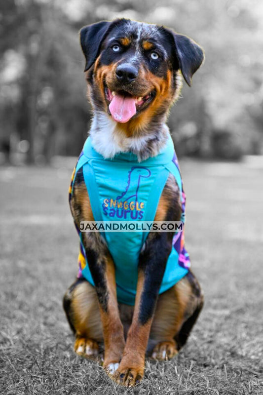 Gorgeous dog modeling the Jax & Molly's 'Snuggle Saurus' Dog Tank, showcasing a chic jade color with a striking blue and gold vinyl graphic, displaying the words 'Snuggle Saurus' alongside a cute dino outline.