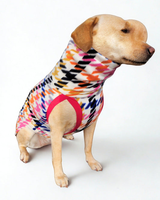 Dog wearing a rainbow pepita patterned pullover dog sweater on a white background