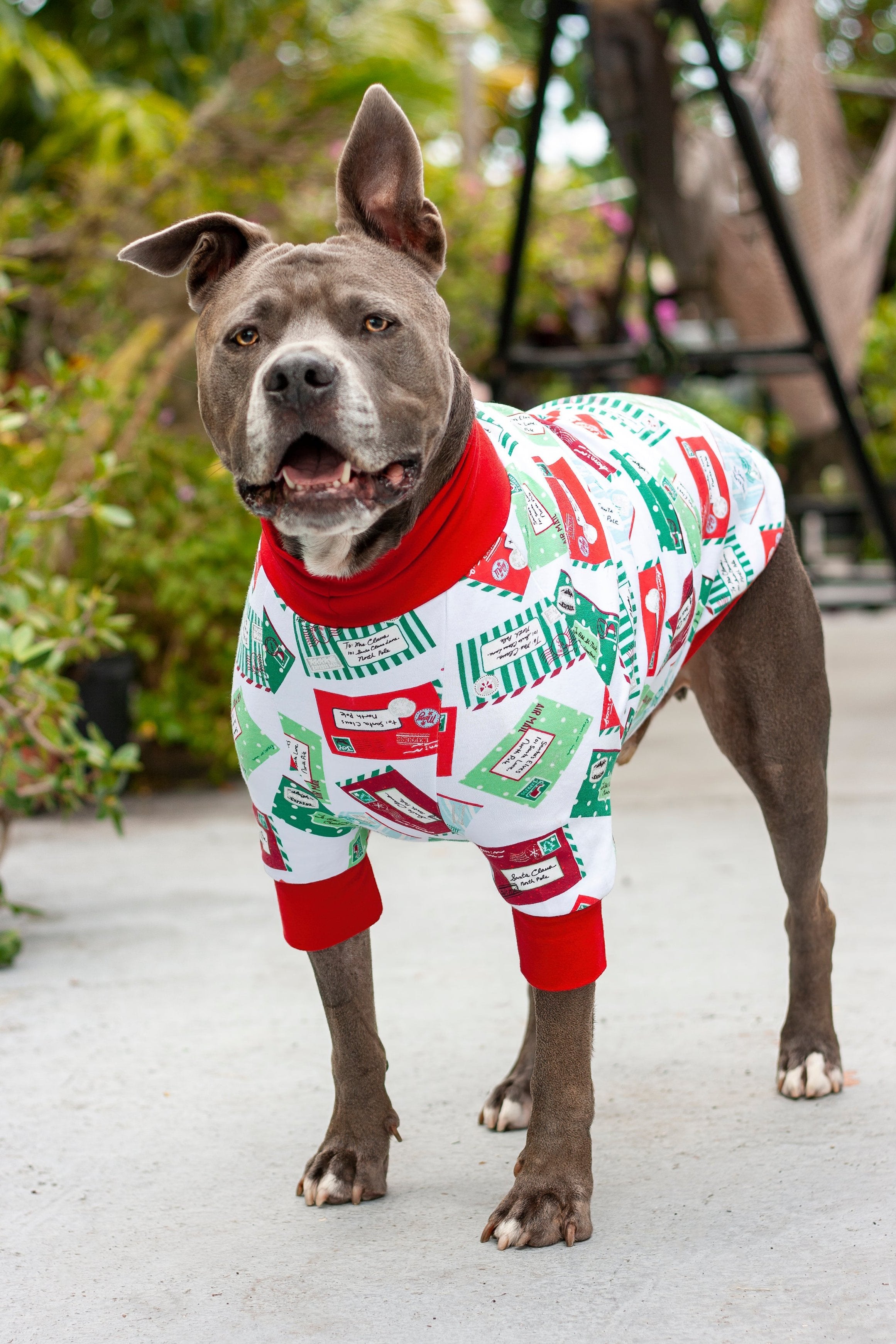 Animal christmas pajamas 2025