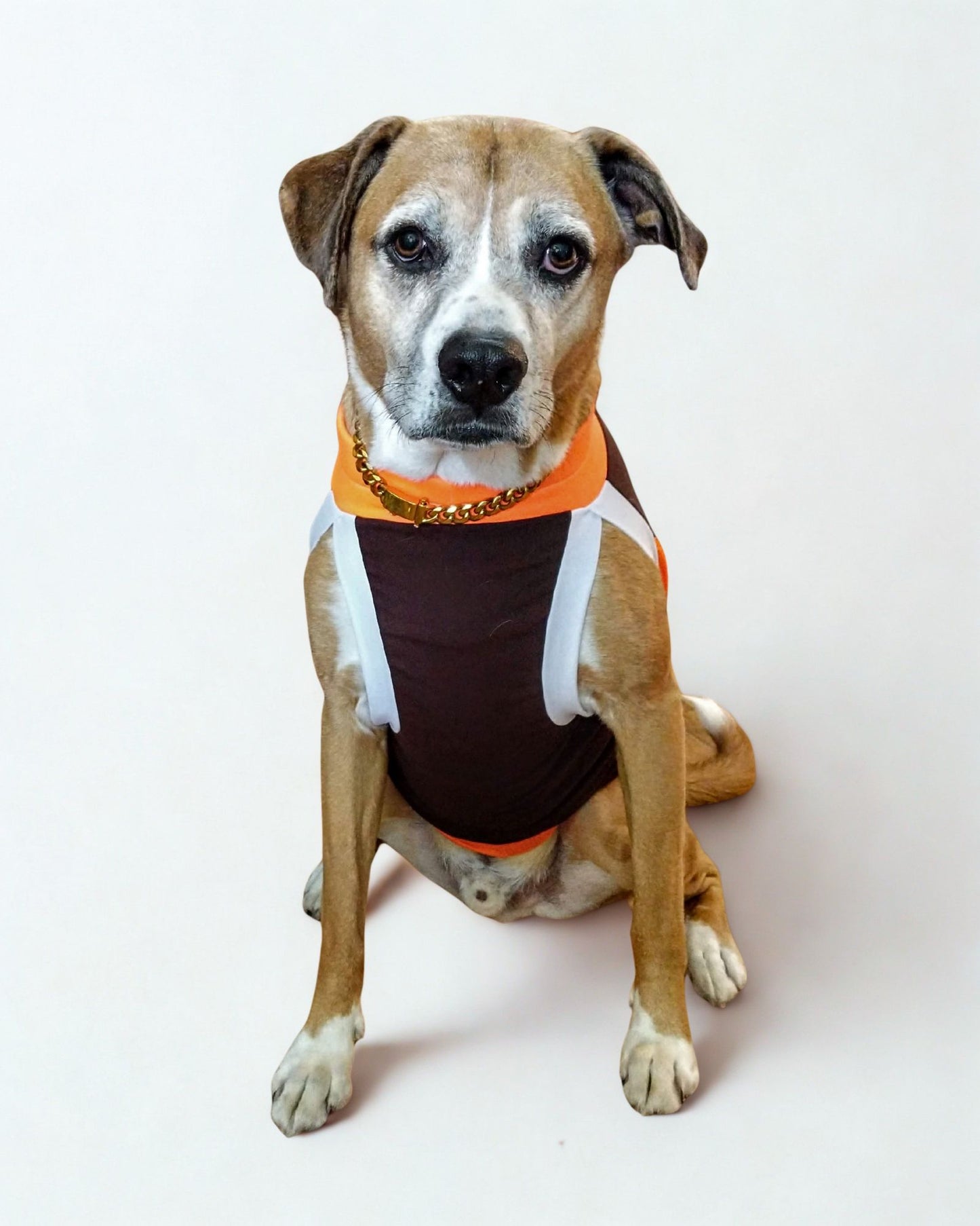 Dog Sport Jersey - Brown Body, Orange Mesh Sides, Orange & White Trim