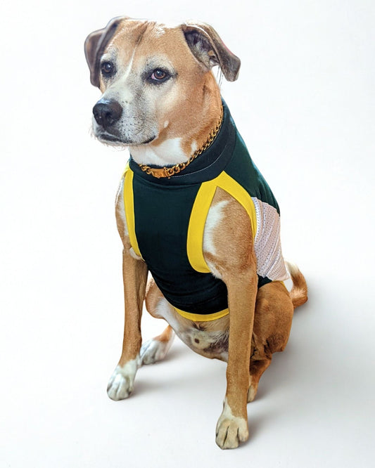Dog Sports Jersey - Green Body, White Mesh Sides, Yellow & Green Trim