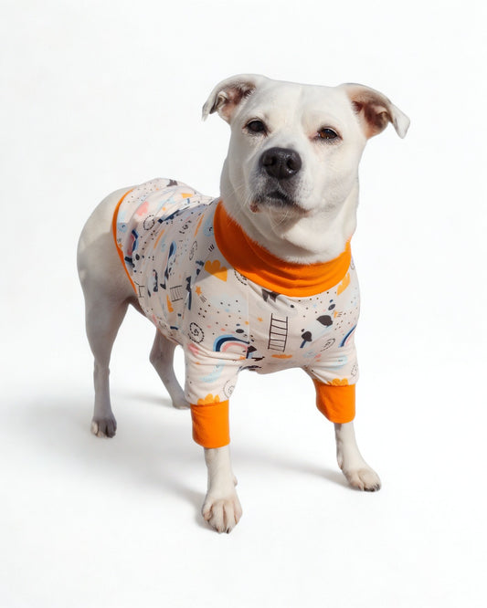 Dreamy Panda poly-Spandex dog pajamas with orange trim on standing dog