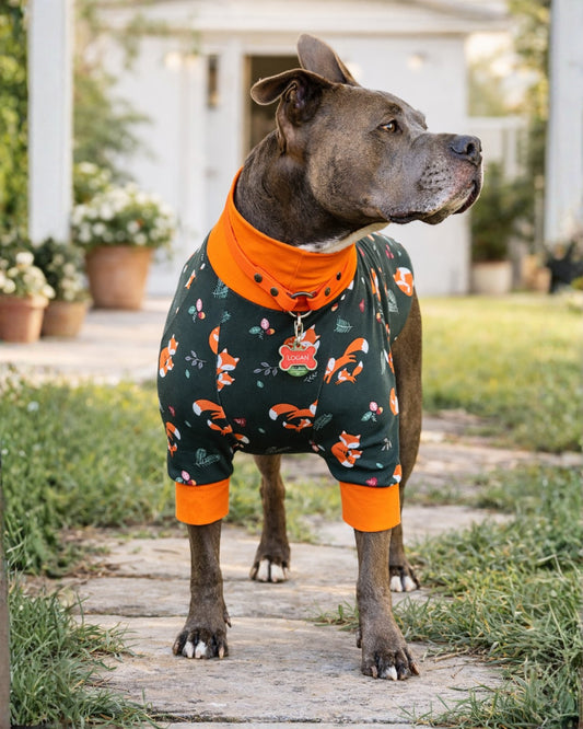 Autumn Fox Family cotton-spandex dog pajamas with orange trim on standing Pitbull