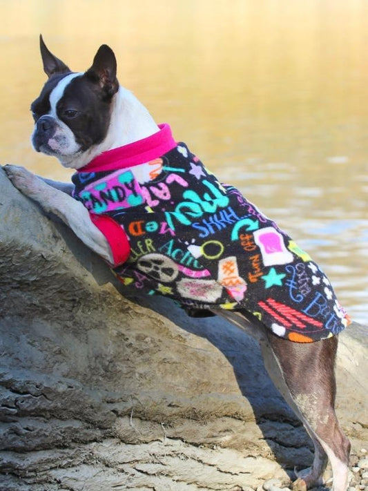 Boston terrier dog wearing a black fleece sweater adorned with a movie-themed print, highlighted by Fuchsia trim on the neck and sleeves.