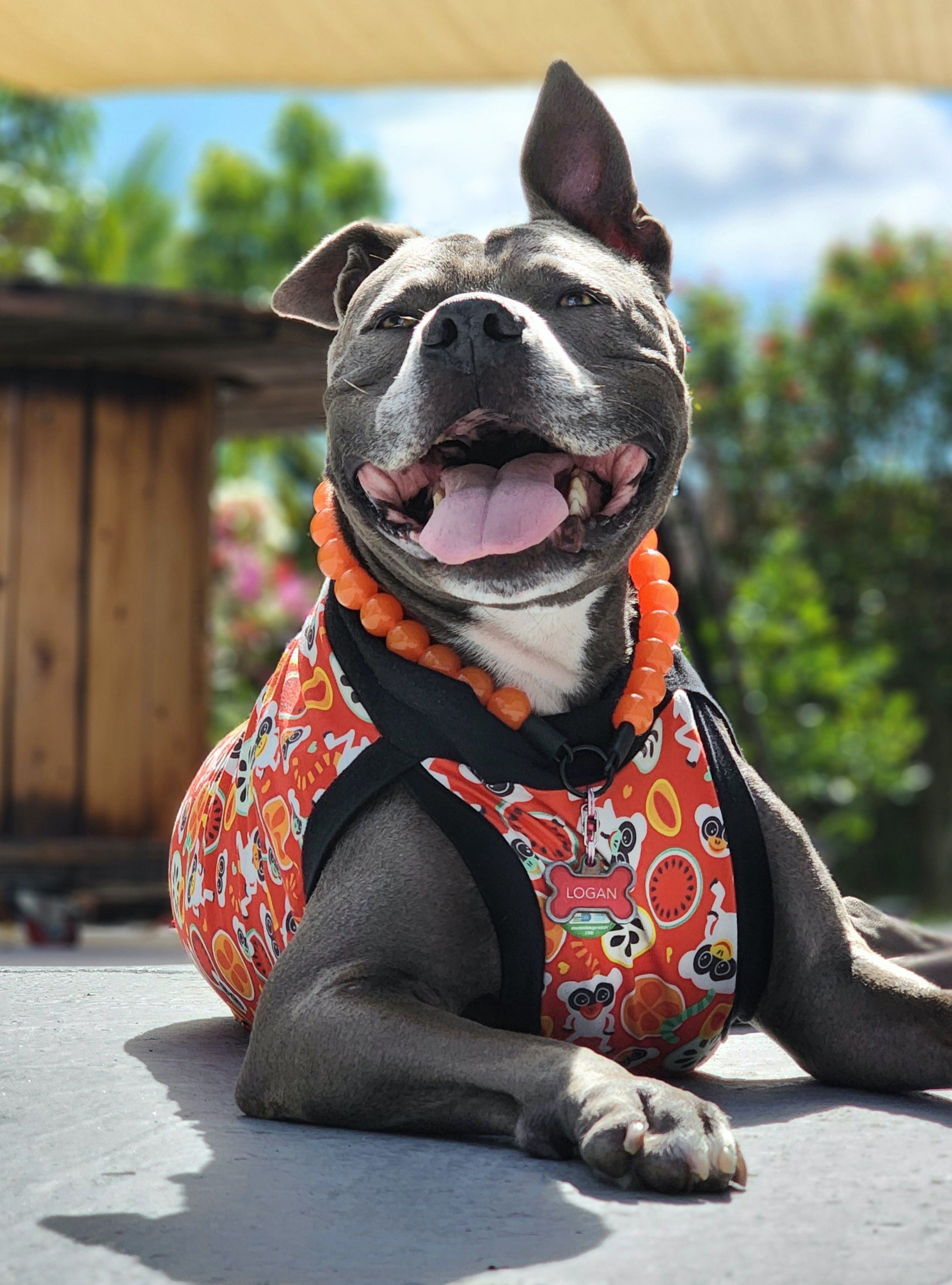 Leopard Lightweight Dog Pajamas