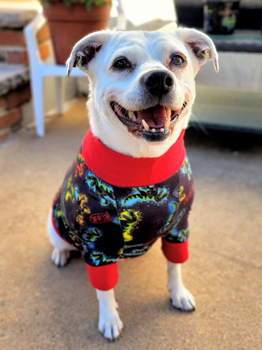 White mini pitbull wearing Jax & Molly's neon dinosaur dog pajamas