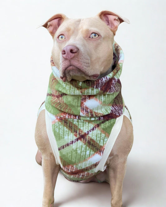 Pitbull modeling a fleece dog sweater in a green and brown plaid design