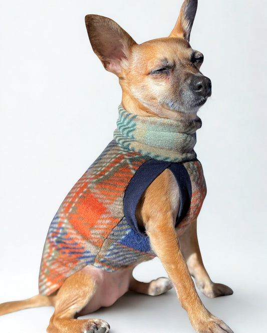 Chihuahua modeling Jax & Molly's  Harvest Tartan Fleece Dog Sweater adorned with a rustic orange, blue and green plaid print.