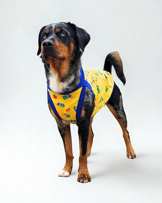 Dog wearing a yellow tank with colorful caterpillars and blue trim by Jax & Molly's.