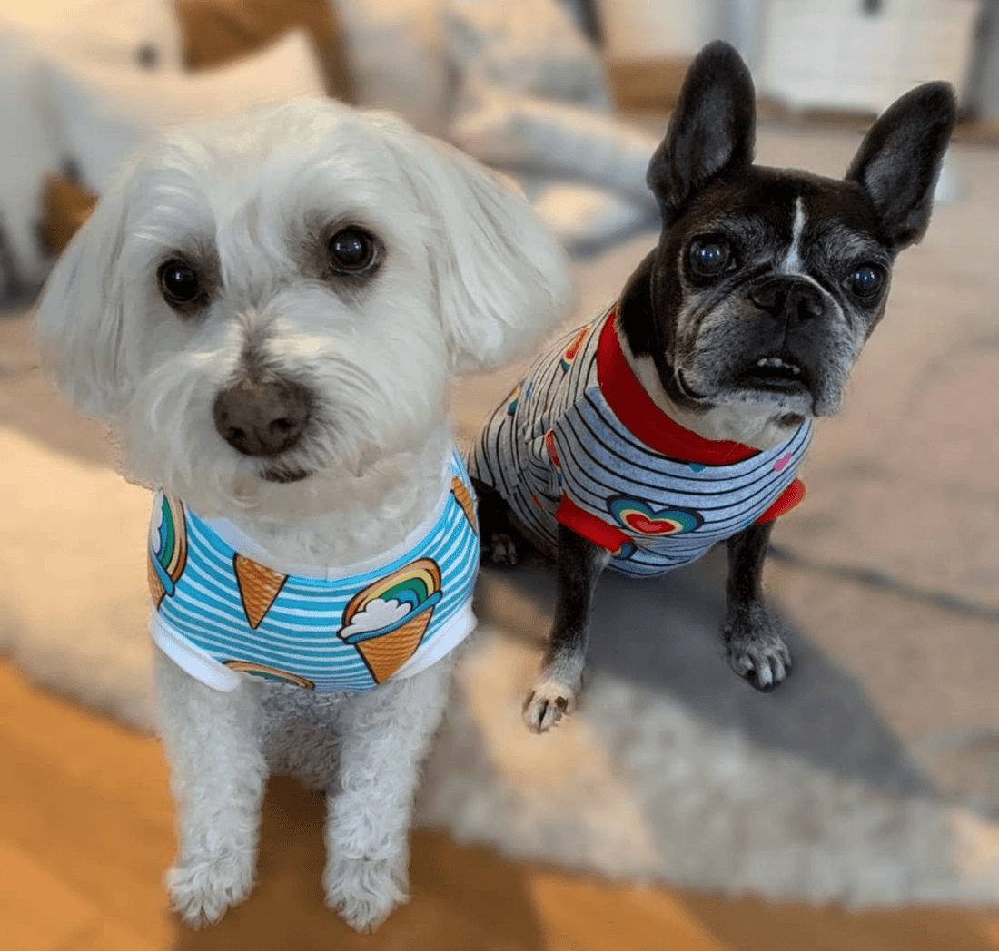 The Jax & Molly's Boutique featured in the They Made Me Wear It blog by Dilla Chanel - Jax & Molly's Boutique