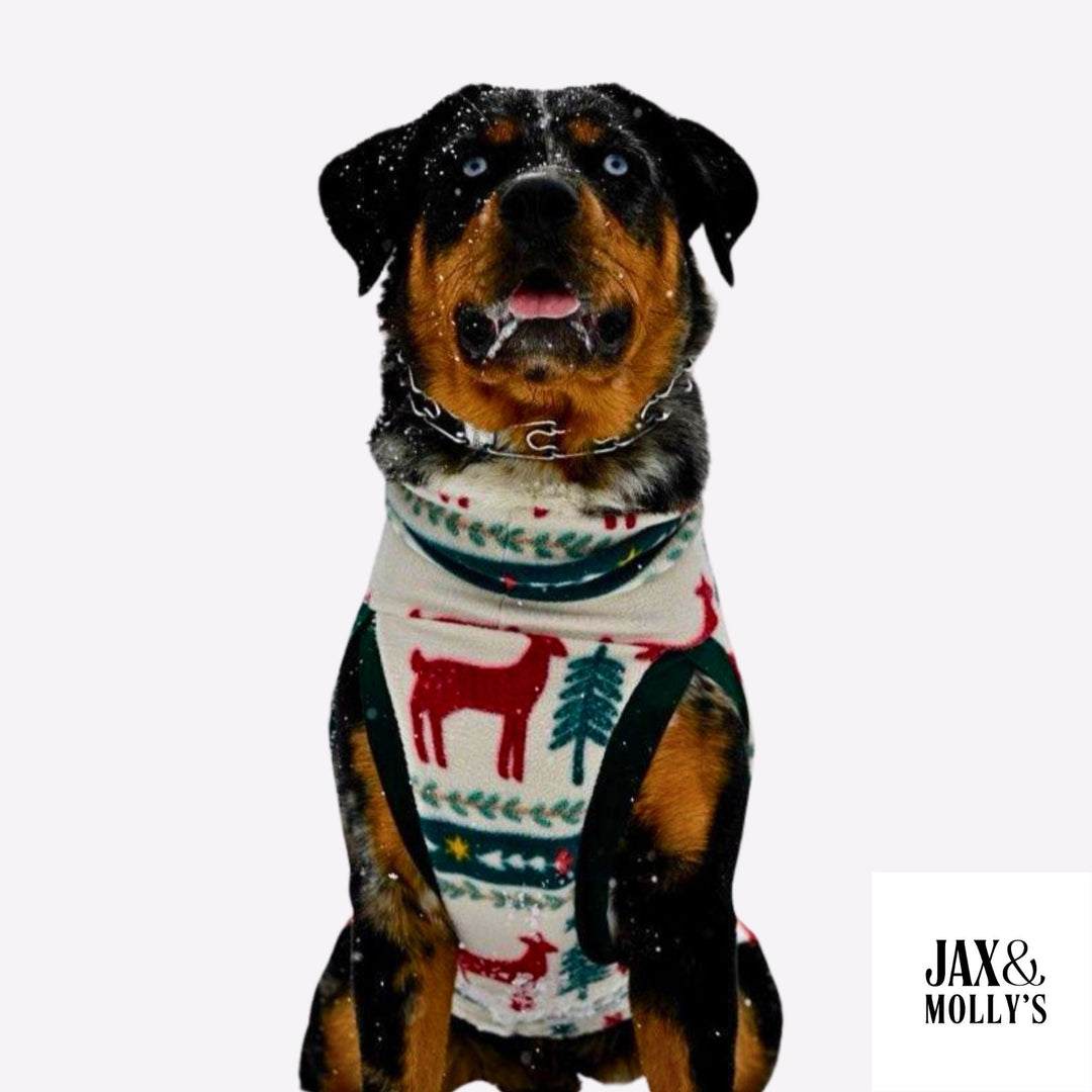 Gorgeous pup in the snow modeling Jax & Molly's Holiday Dog Sweater adorned with deer and pine trees.