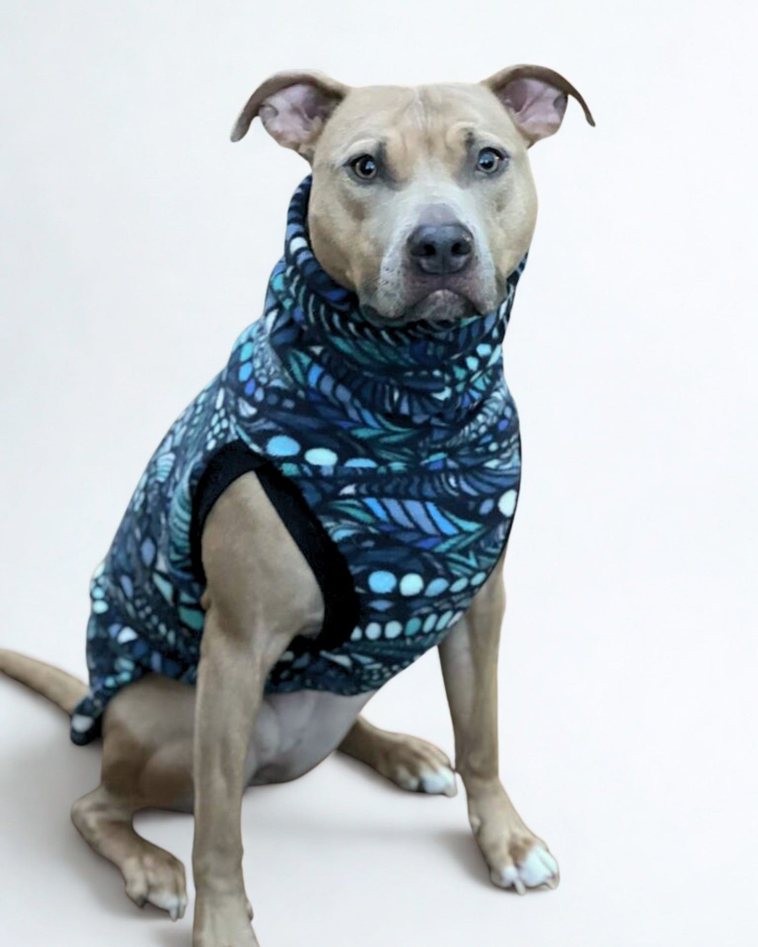 Boston Terrier sporting a pink fleece plaid dog sweater by Jax & Molly's