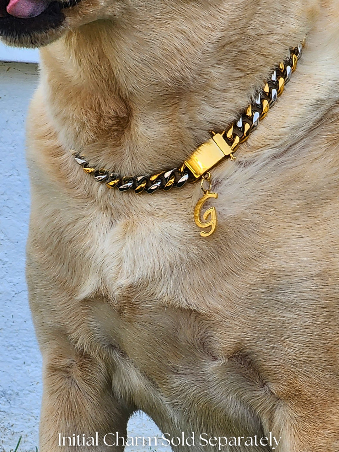 Gold & Silver Cuban Link Dog Chain - 15mm