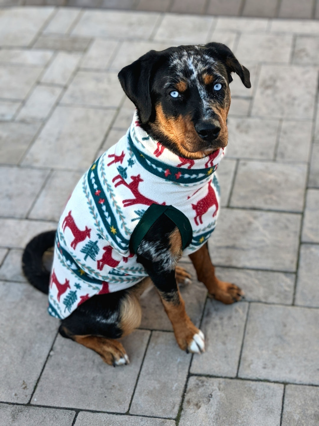 Holiday Fair Isle Dog Sweater