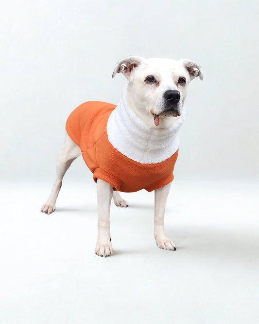 Toasted Orange Fleece Dog Sweater – Faux Sherpa Turtleneck for Winter