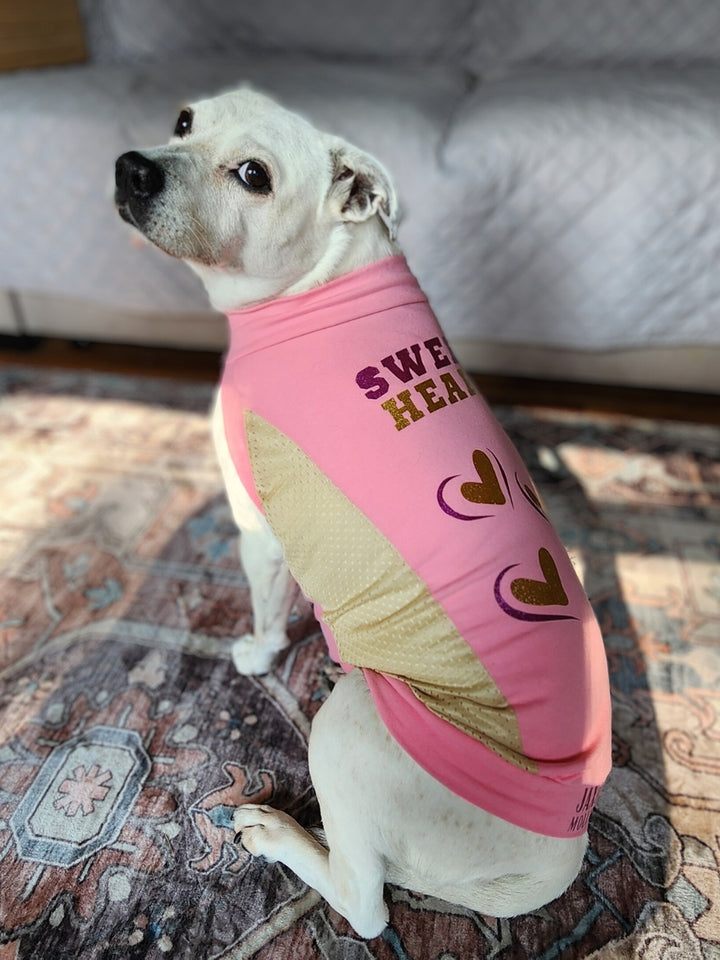 Dog Sports Jersey - Sweetheart Edition