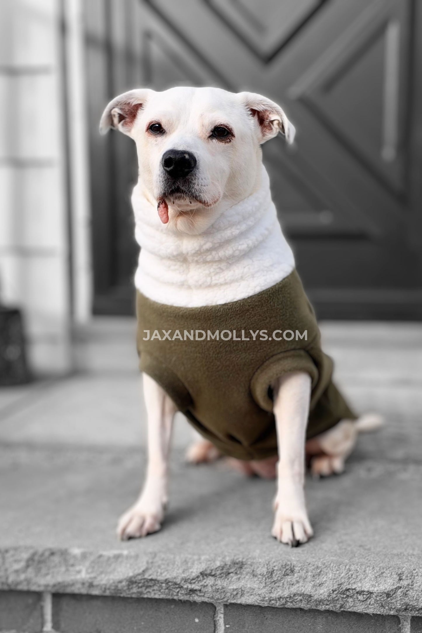 Fleece Dog Sweater – Hunter Green with Faux Sherpa Turtleneck for Winter