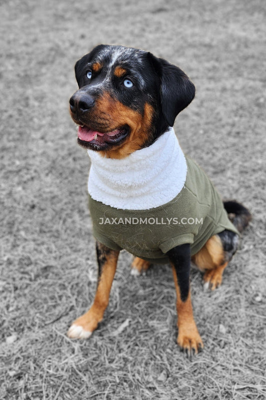 Fleece Dog Sweater – Hunter Green with Faux Sherpa Turtleneck for Winter