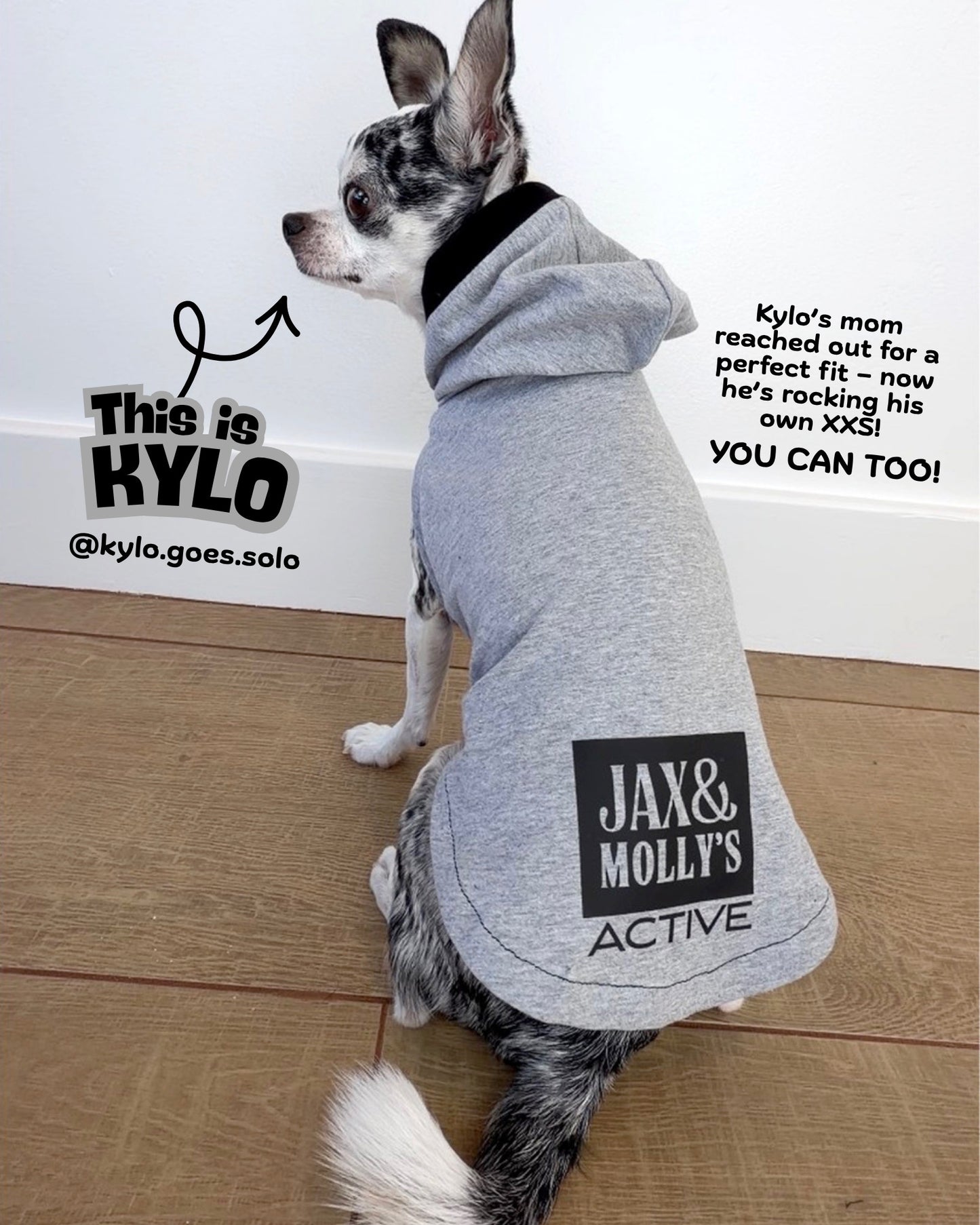 Dog wearing a gray hoodie with 'Jax & Molly's Active' branding on a wooden floor.