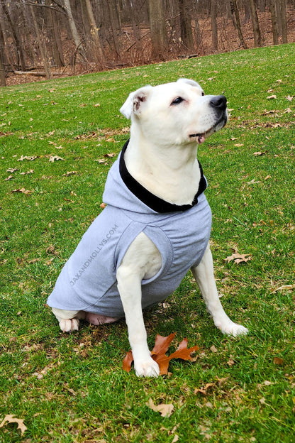 Lightweight Dog Hoodie – Cotton Spandex Activewear for Every Adventure