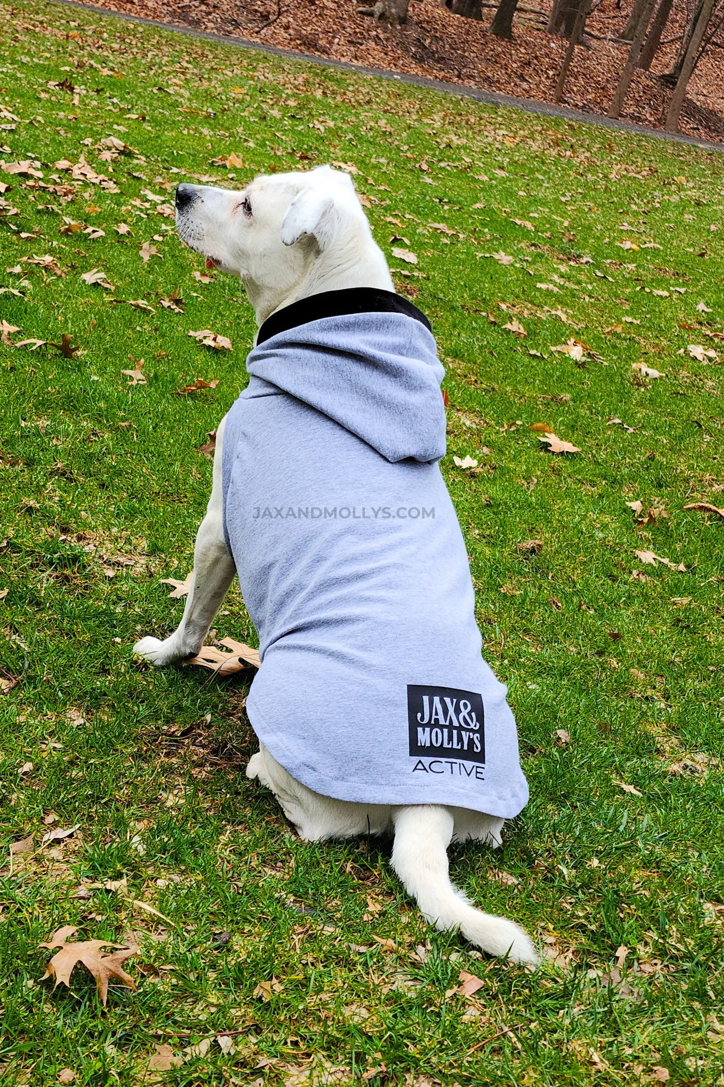 Lightweight Dog Hoodie – Cotton Spandex Activewear for Every Adventure