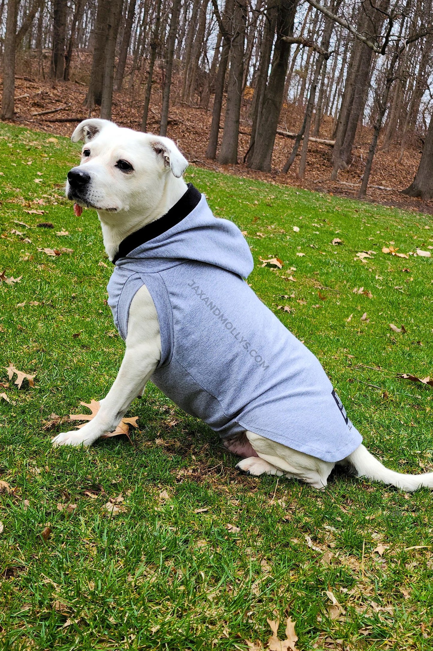 Lightweight Dog Hoodie – Cotton Spandex Activewear for Every Adventure