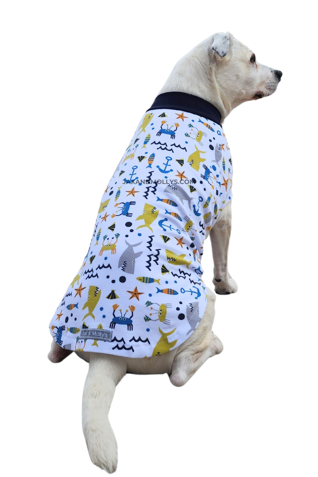 A dog wearing a Jax & Molly's shirt featuring various sea creatures.