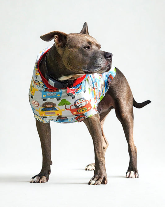 Animal Road Trip cotton spandex pajamas on dog, front standing view 