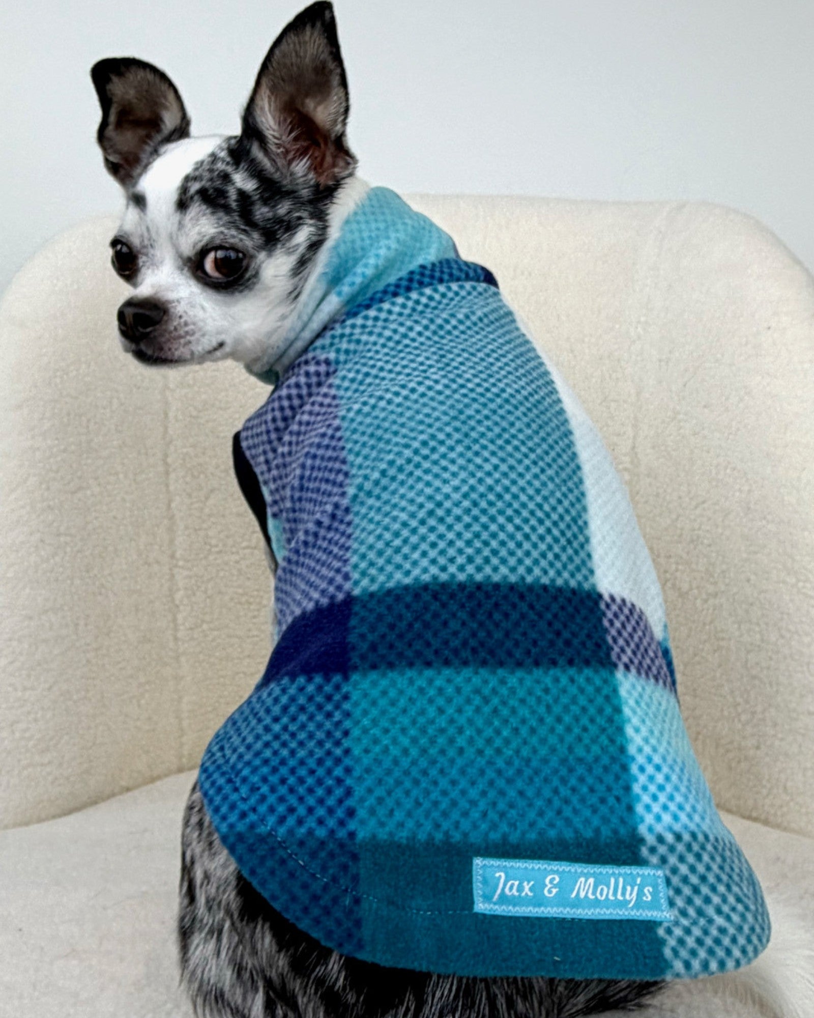 XXS dog in a blue and white plaid sweater pictured from the back