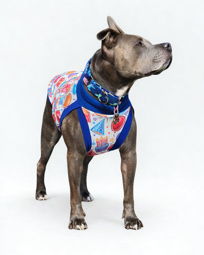 Dog wearing Birthday Celebration dog pajamas with festive party print and stretchy comfortable fit