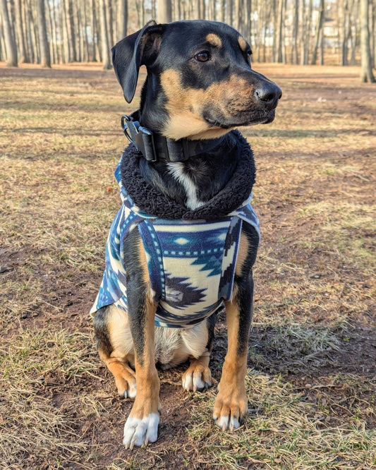 Blue aztec fleece dog sweater with hood on black dog, looking to the side in forest